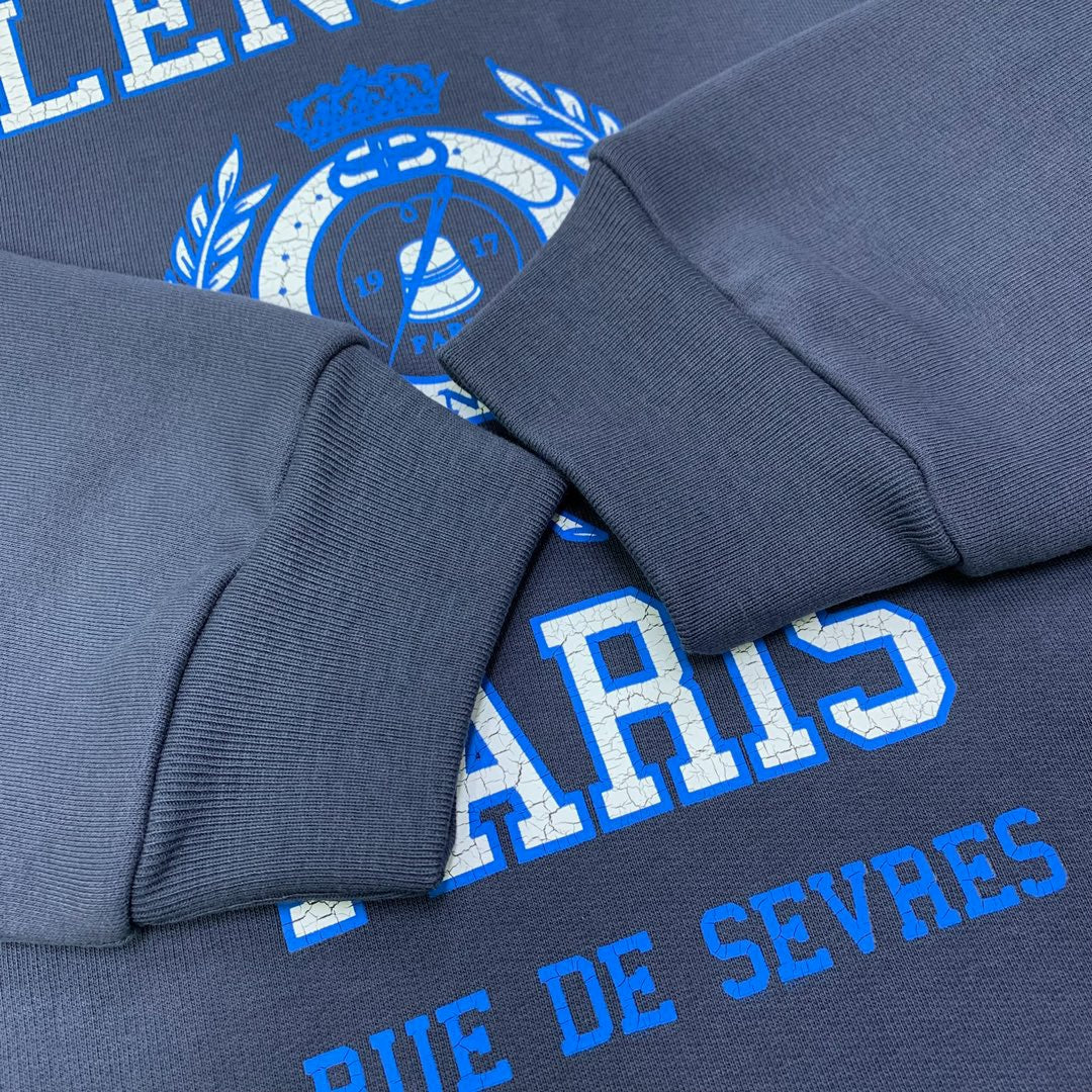 Ba1en*iaga Hoodie