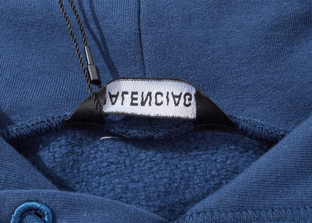 Ba1en*iaga Hoodie