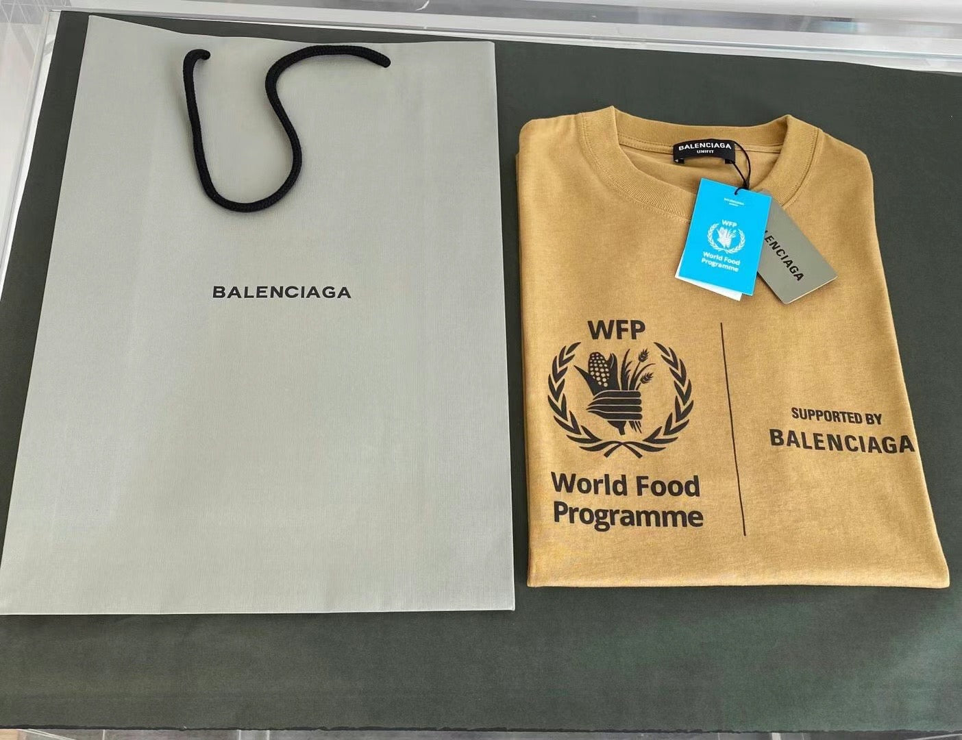 Ba1en*iaga T-shirt