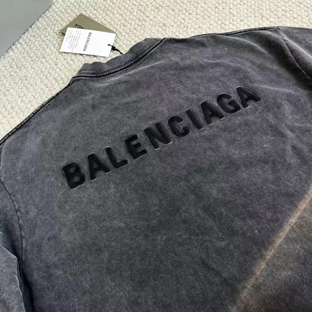 Ba1en*iaga T-shirt
