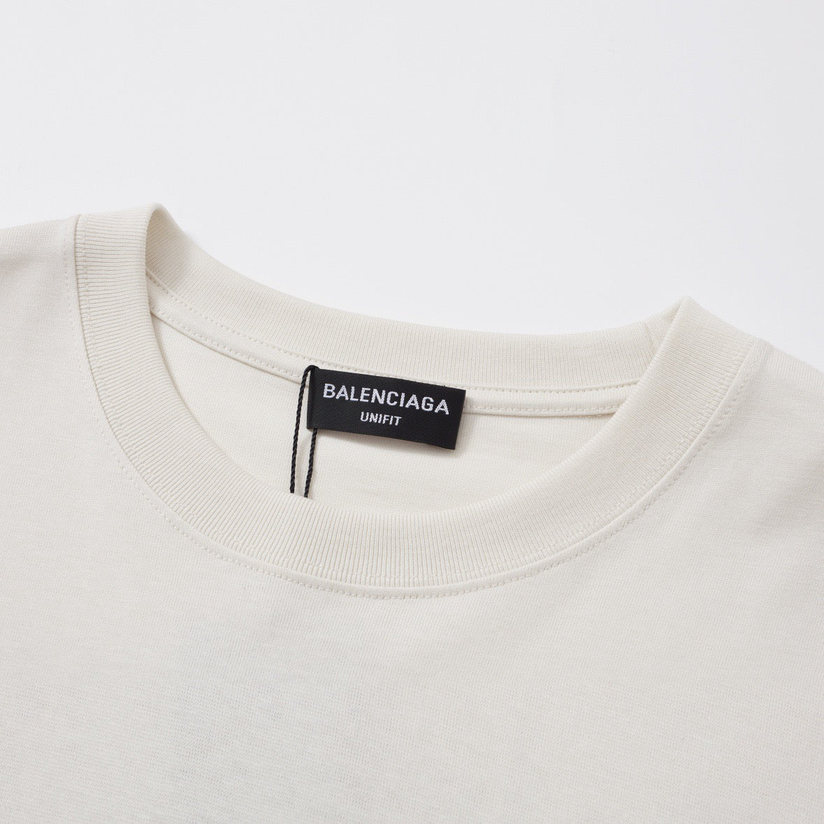 Ba1en*iaga T-shirt