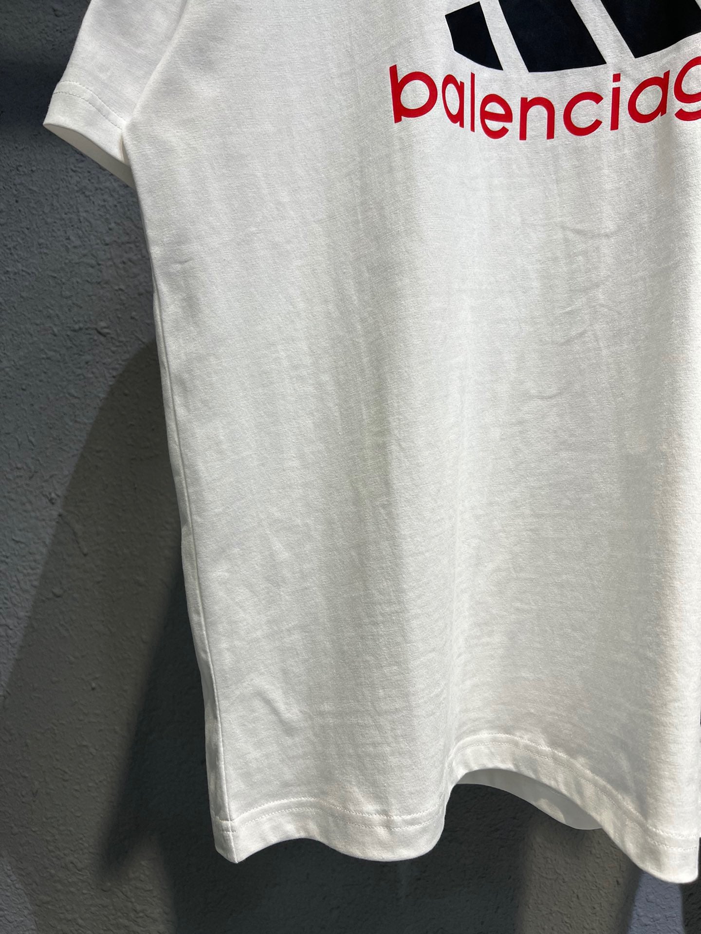 Ba1en*iaga T-shirt