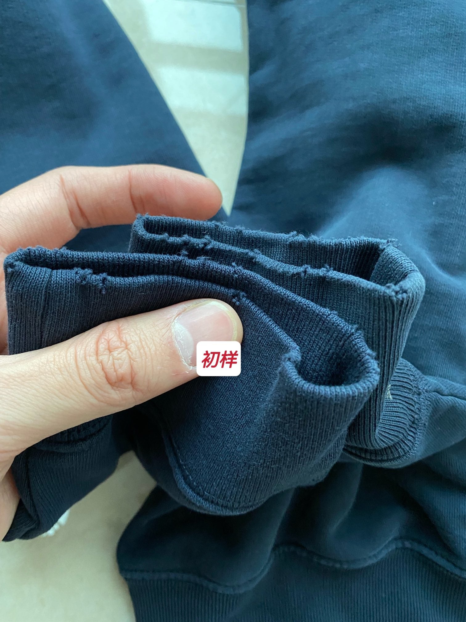 Ba1en*iaga Sweatshirt