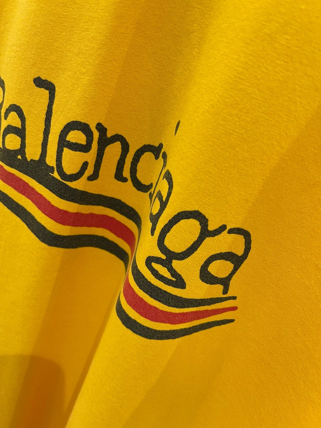 Ba1en*iaga T-shirt