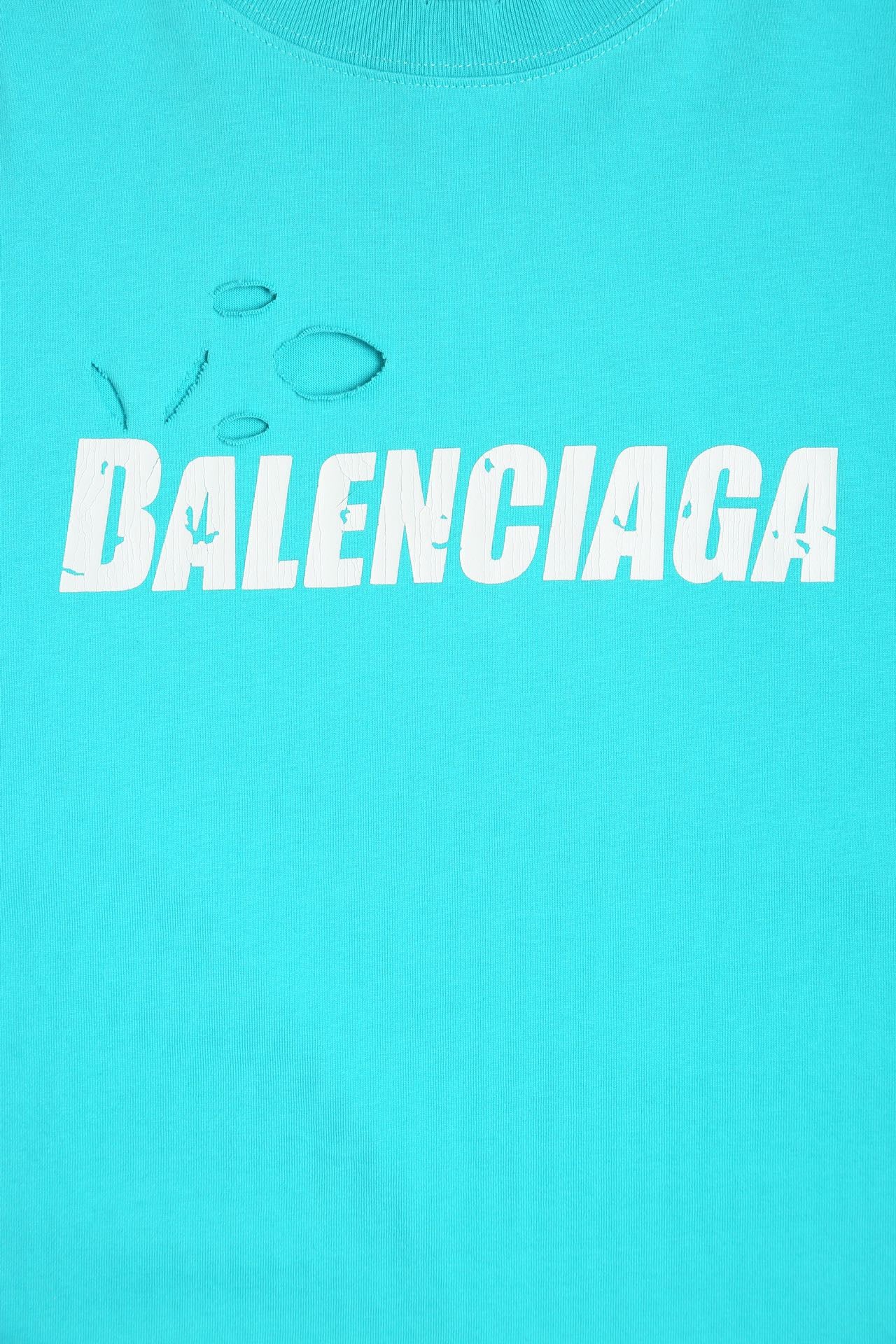 Ba1en*iaga T-shirt