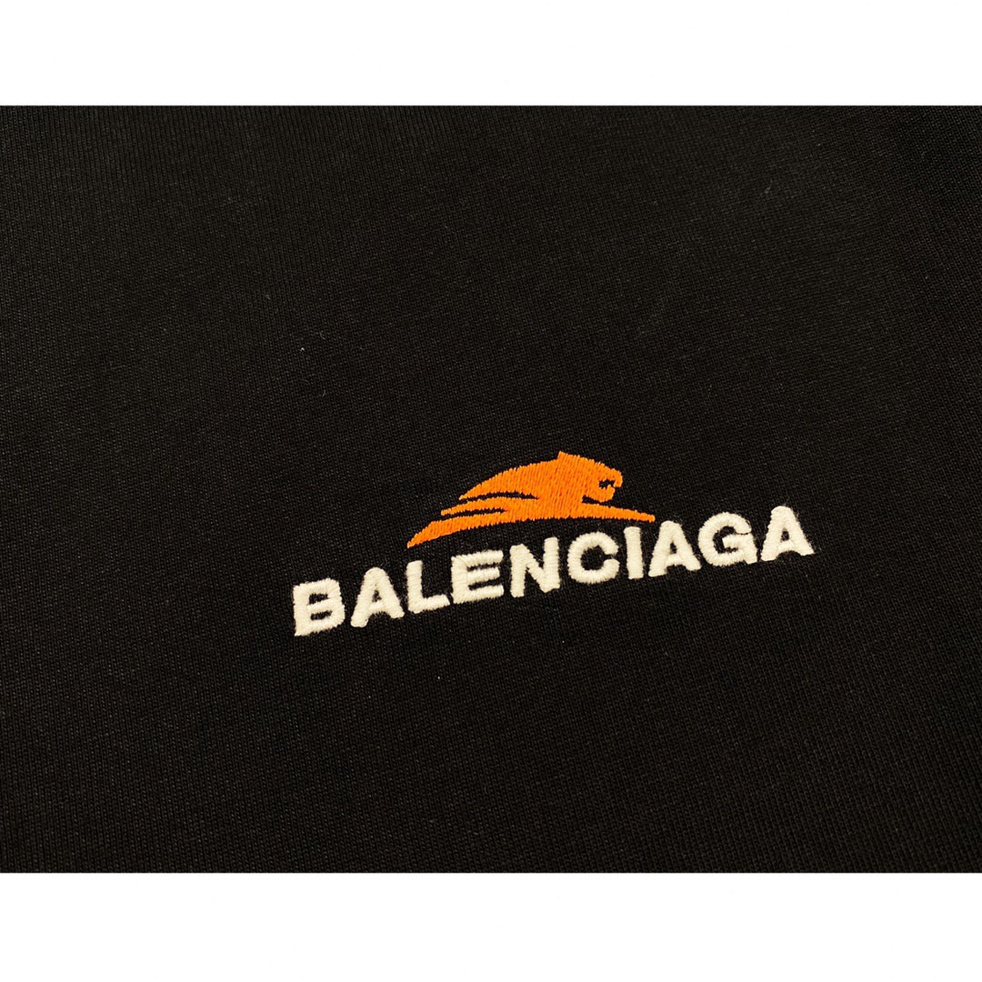 Ba1en*iaga T-shirt