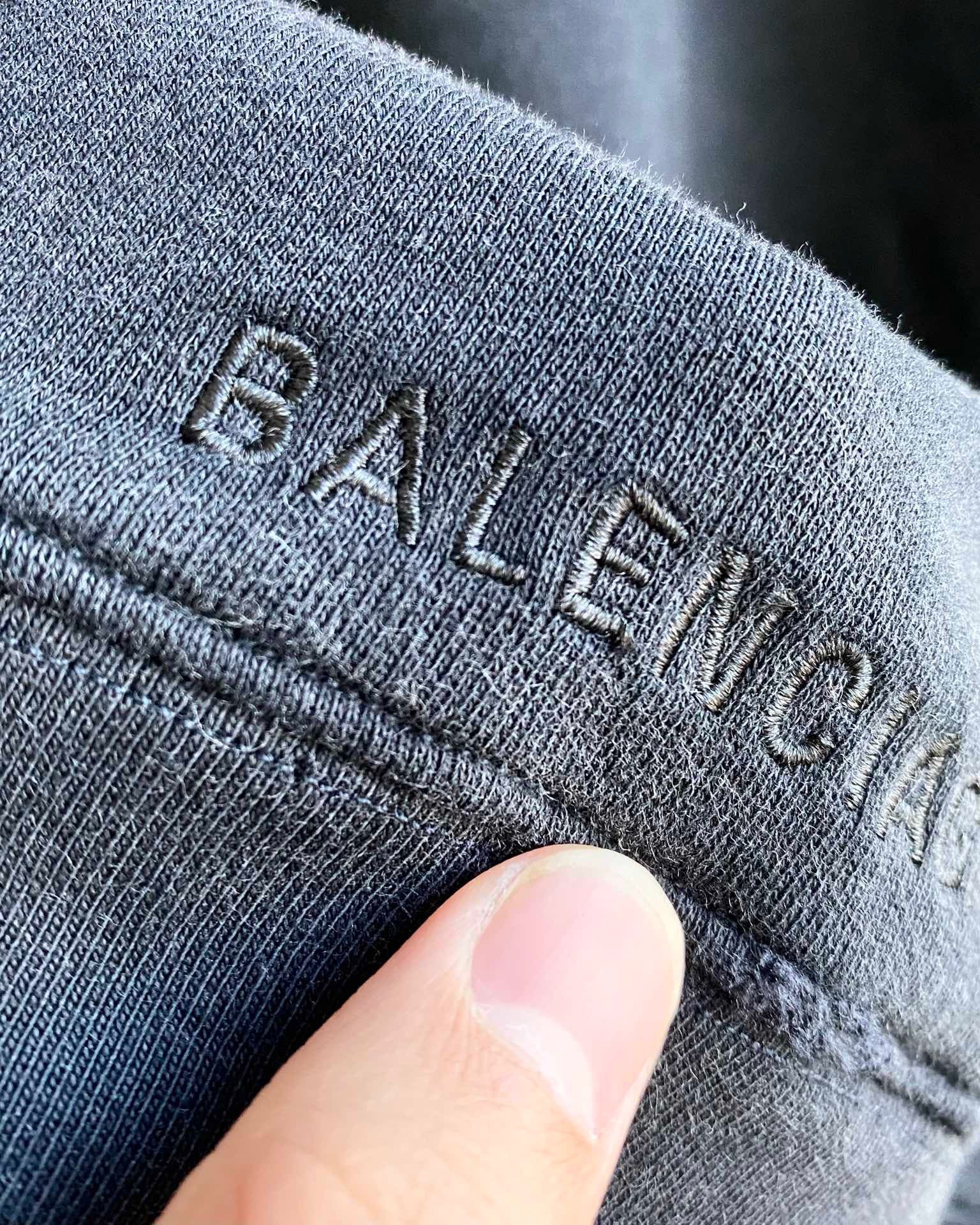 Ba1en*iaga Hoodie