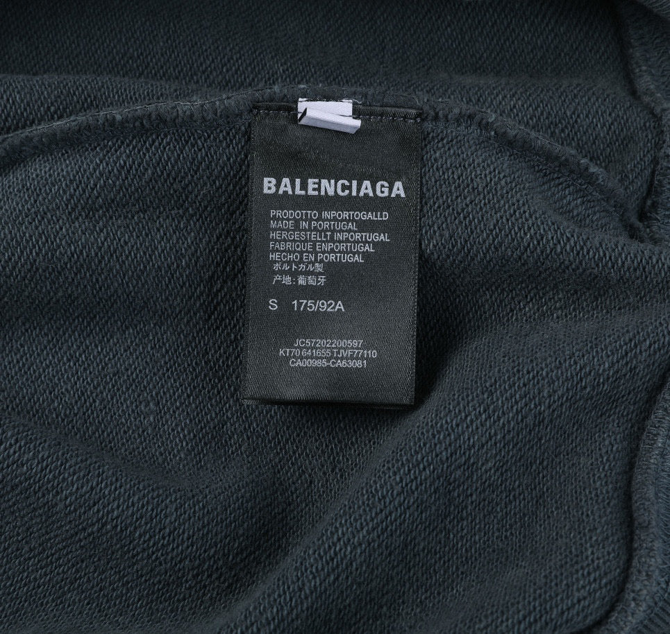 Ba1en*iaga Hoodie