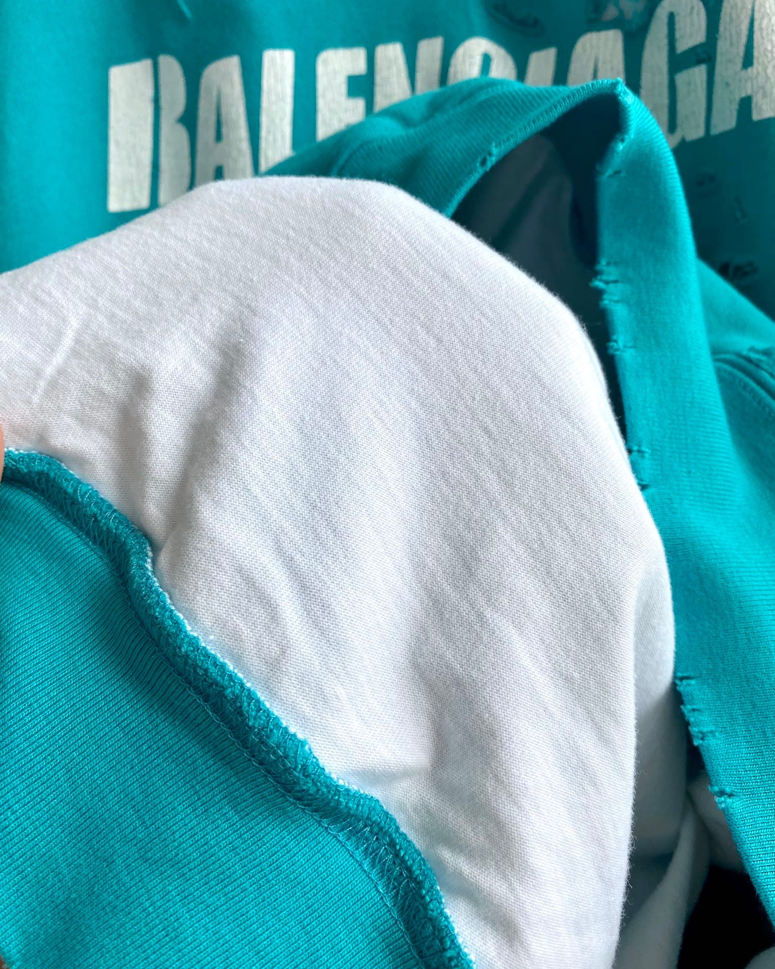 Ba1en*iaga Hoodie
