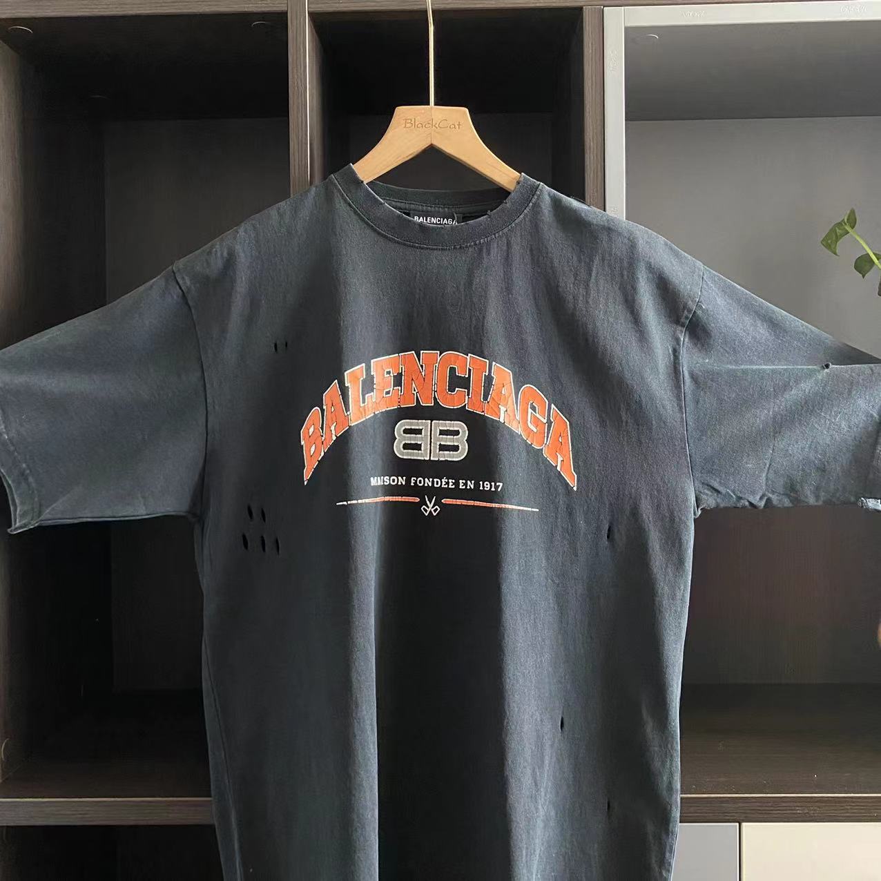 Ba1en*iaga T-Shirt