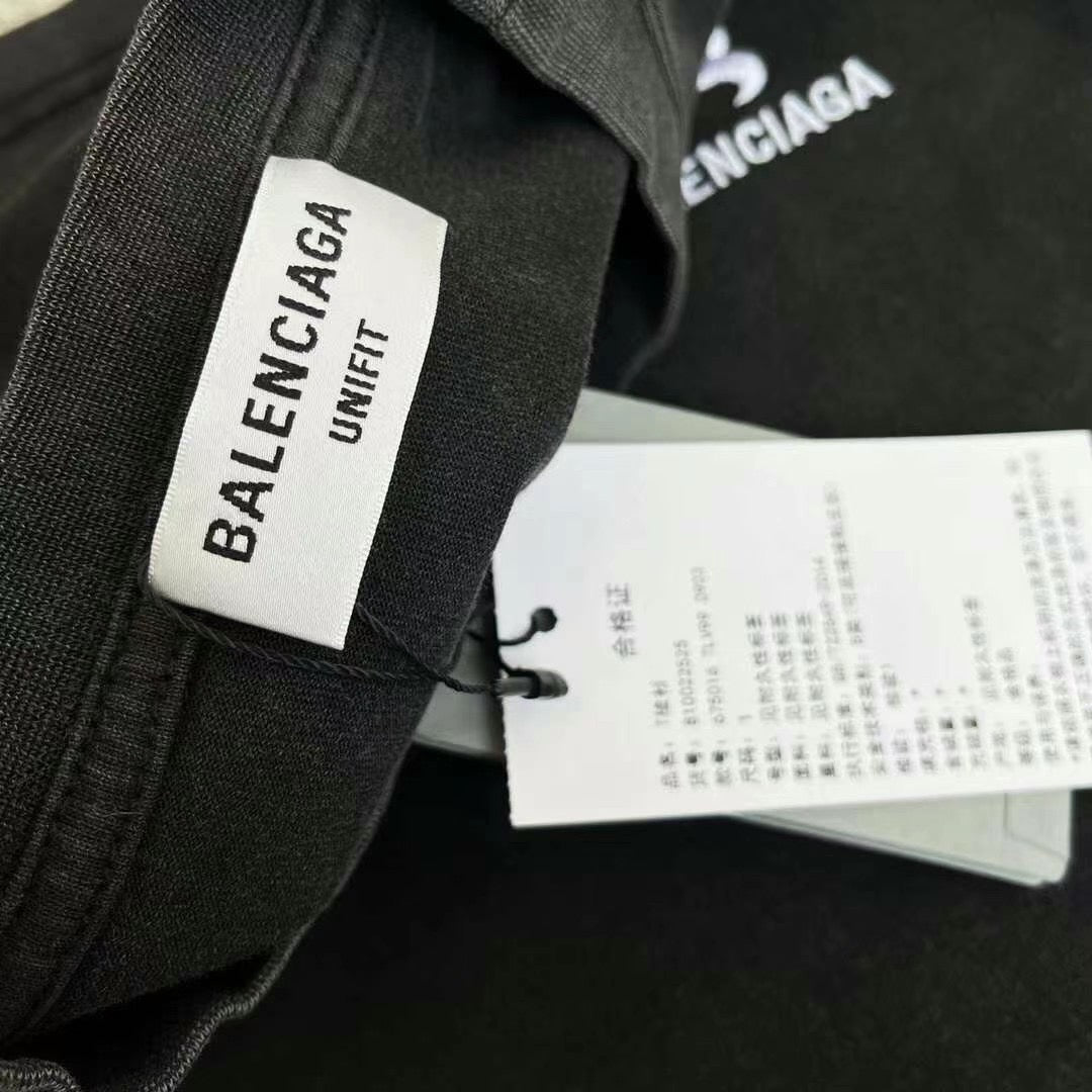 Ba1en*iaga T-shirt