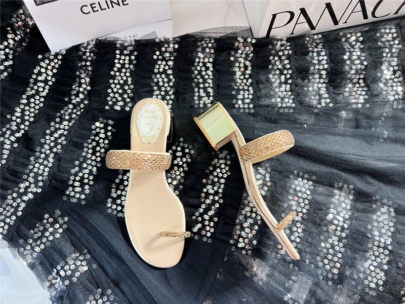 Rene Caovilla Heels Dupe low heel flat flip flop sandals