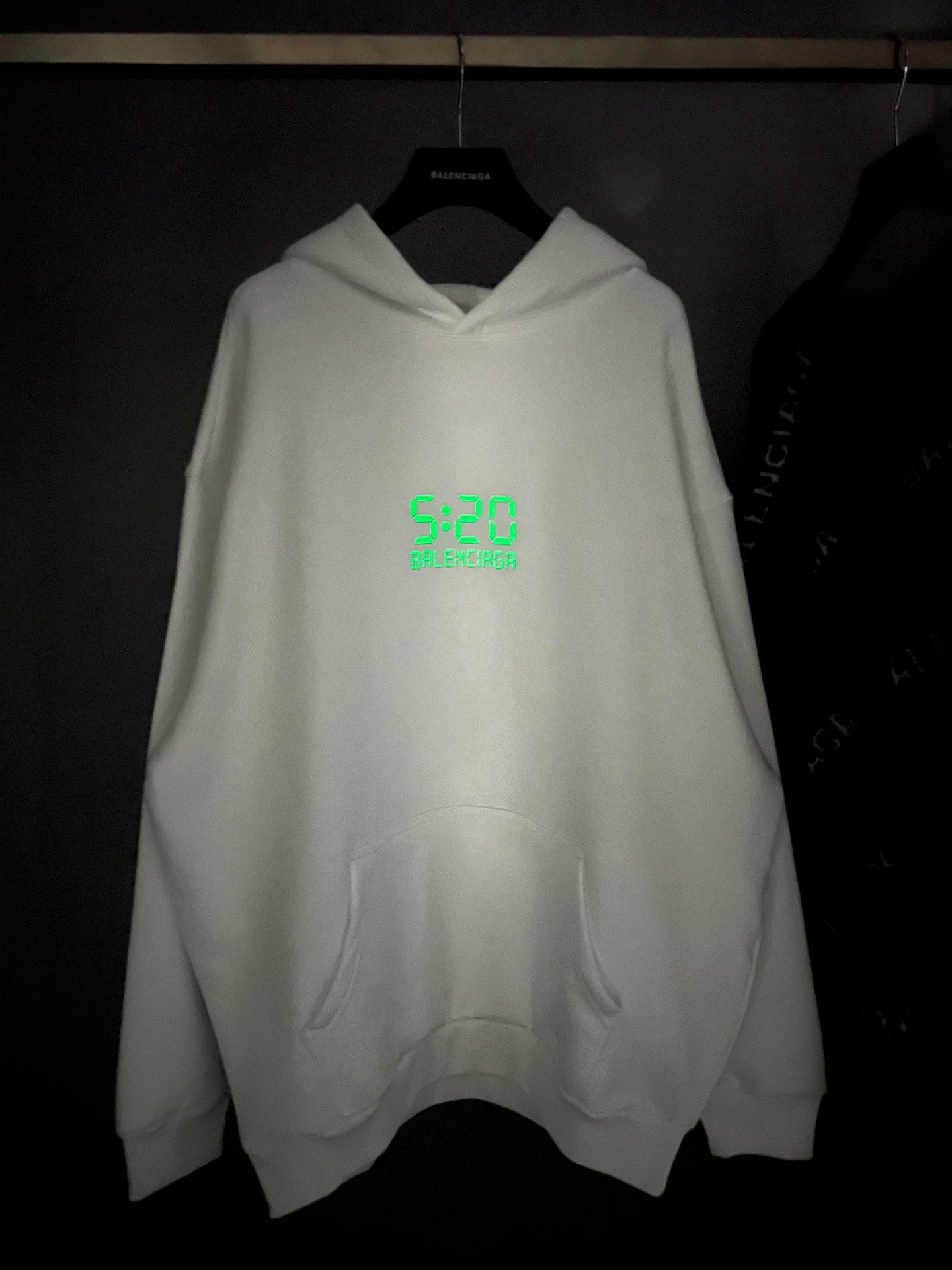 Ba1en*iaga Hoodie