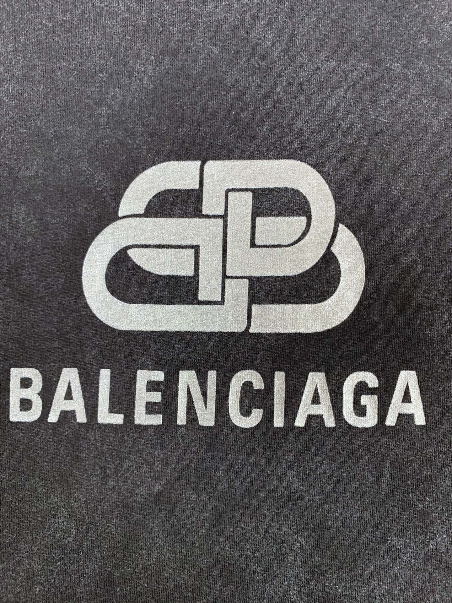 Ba1en*iaga T-shirt