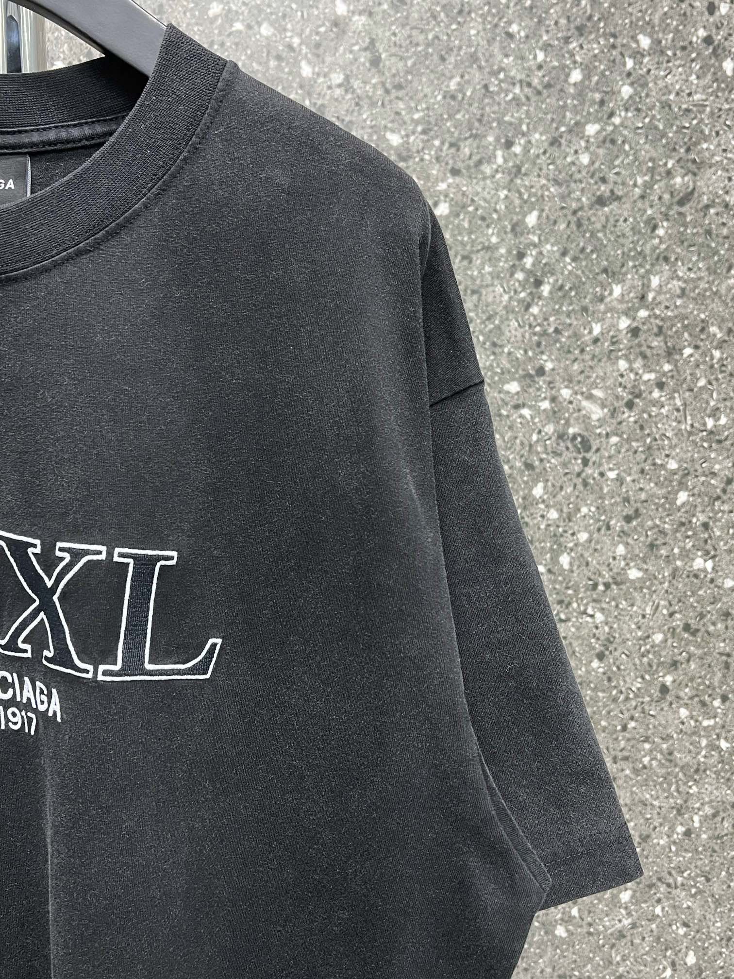 Ba1en*iaga T-shirt