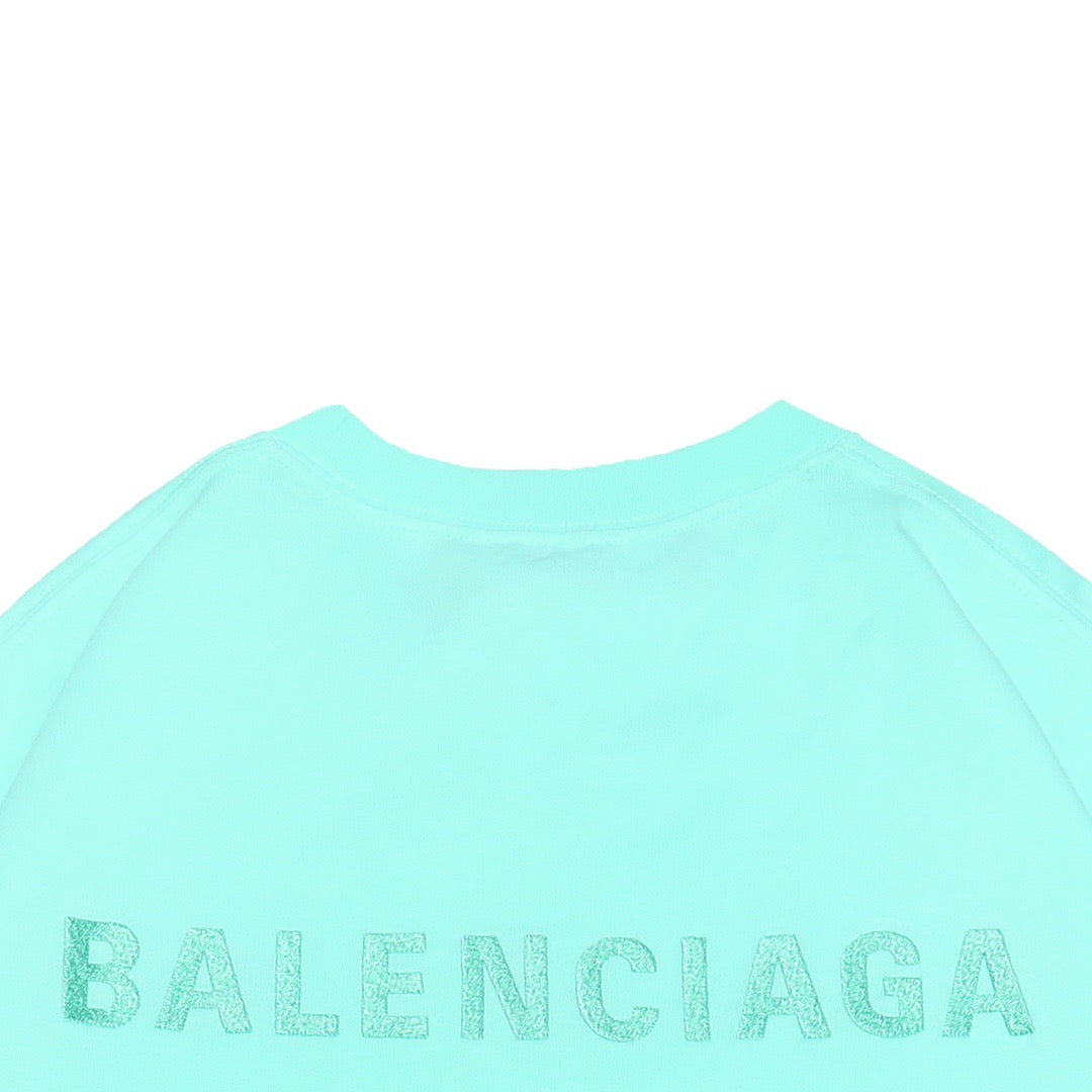 Ba1en*iaga T-shirt