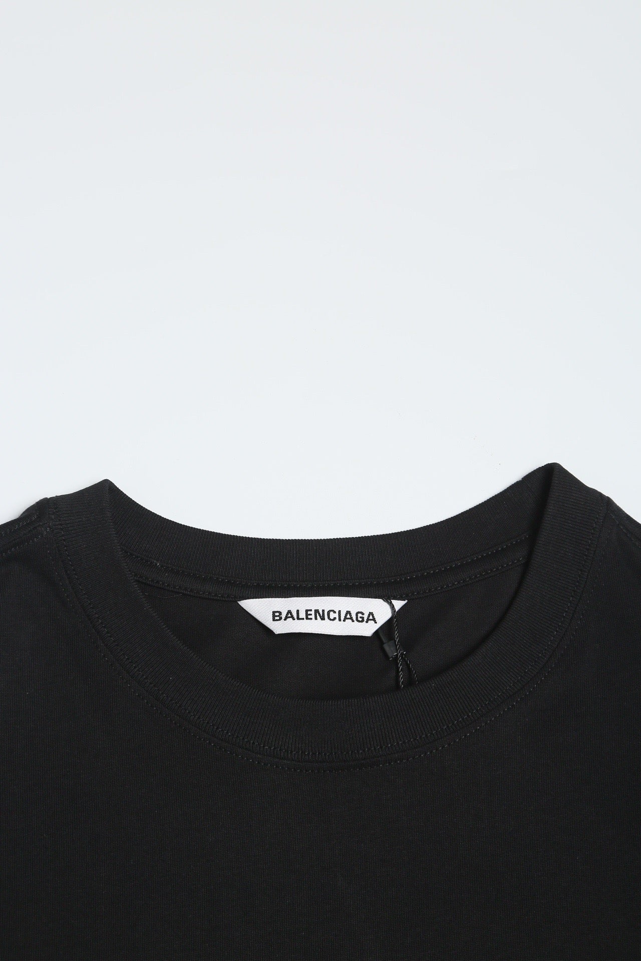 Ba1en*iaga T-shirt