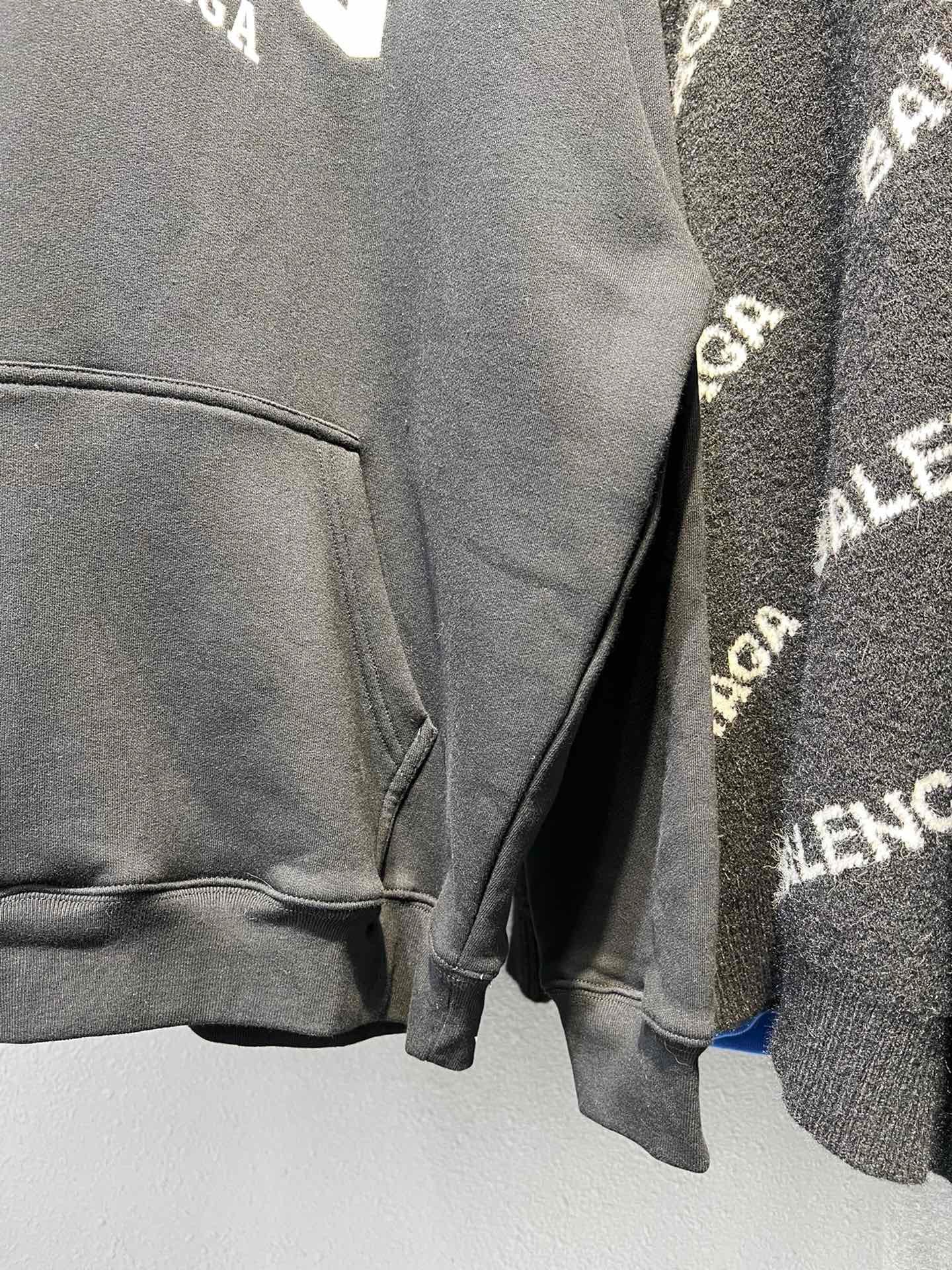 Ba1en*iaga Hoodie