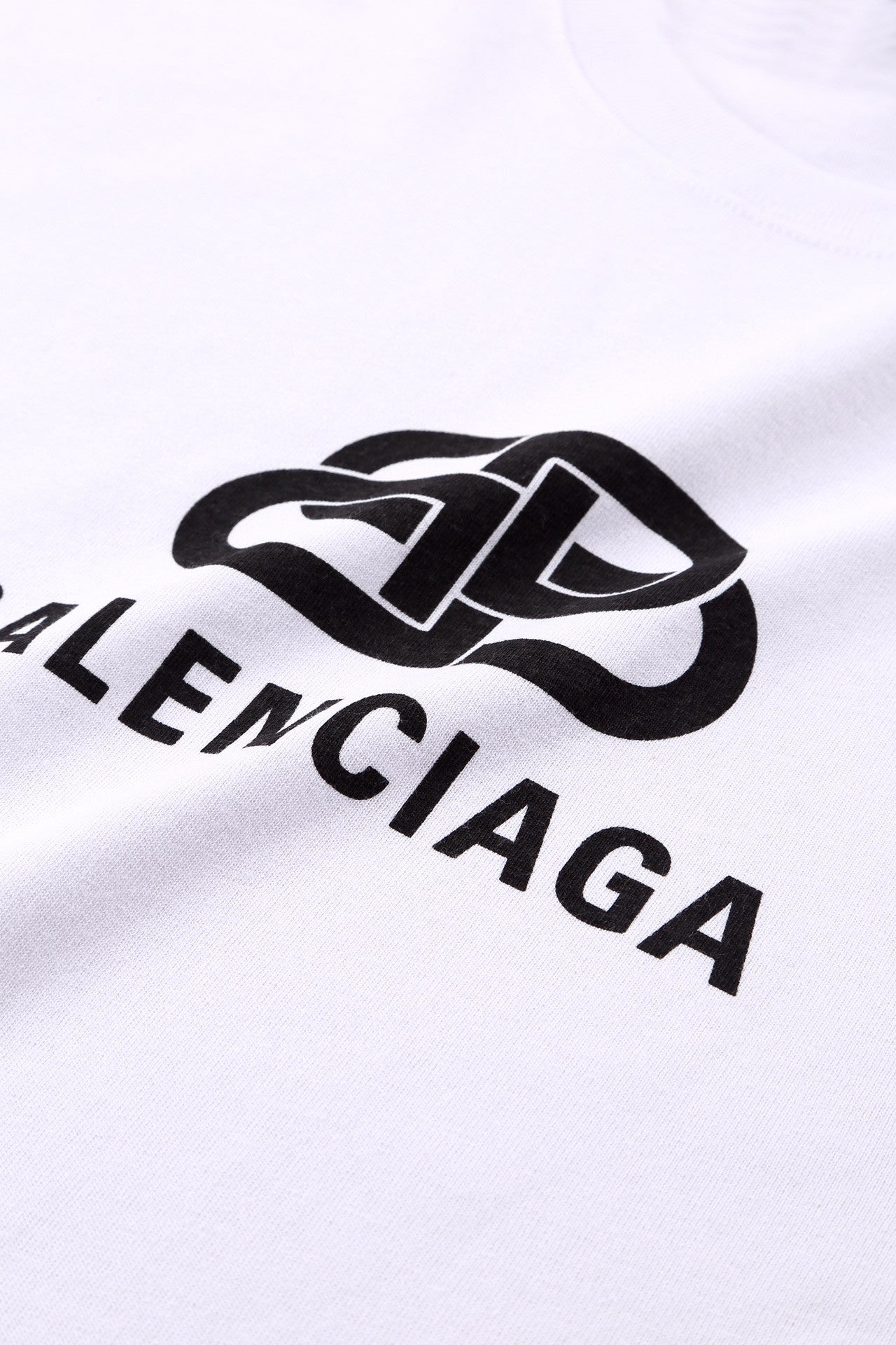 Ba1en*iaga T-shirt