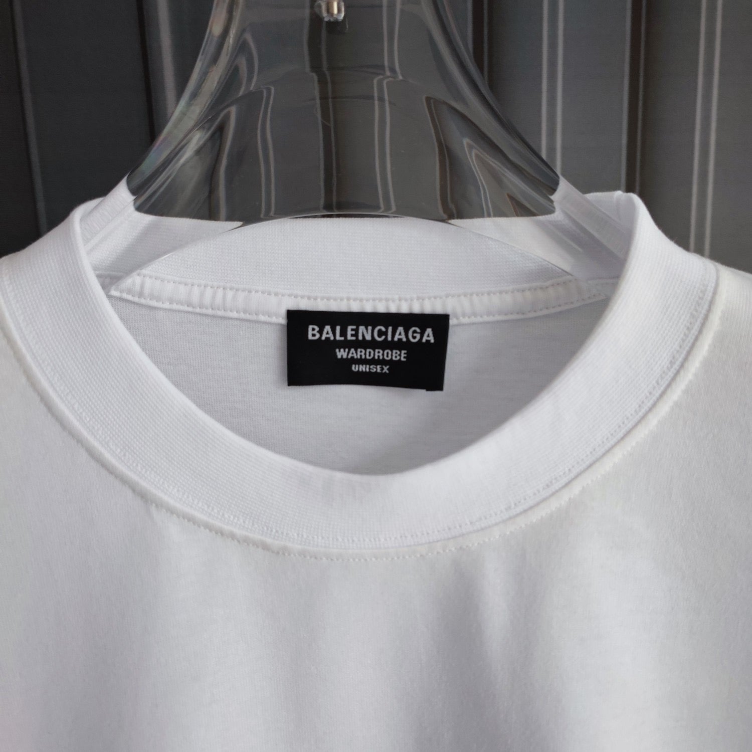 Ba1en*iaga T-shirt