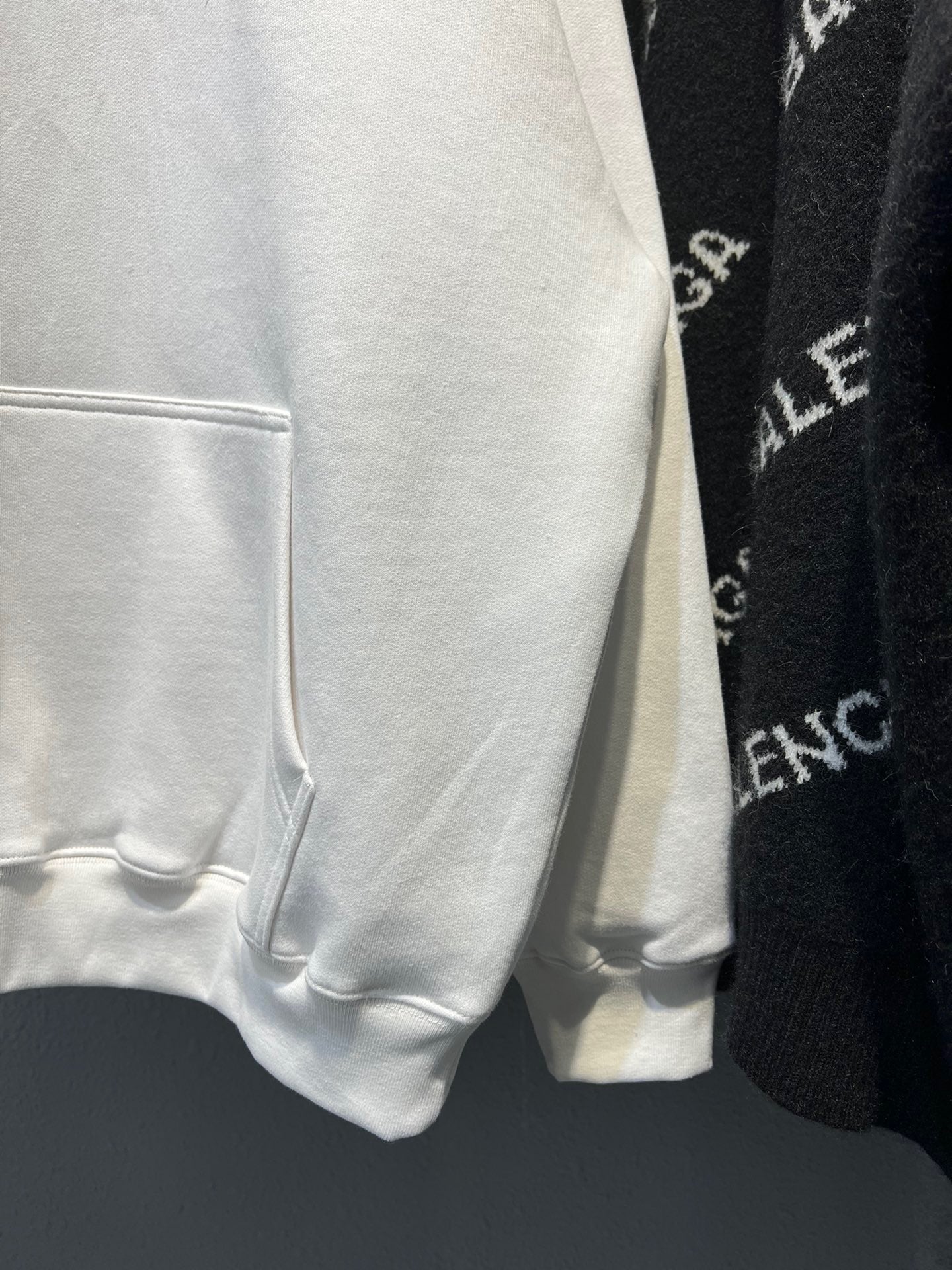 Ba1en*iaga Hoodie