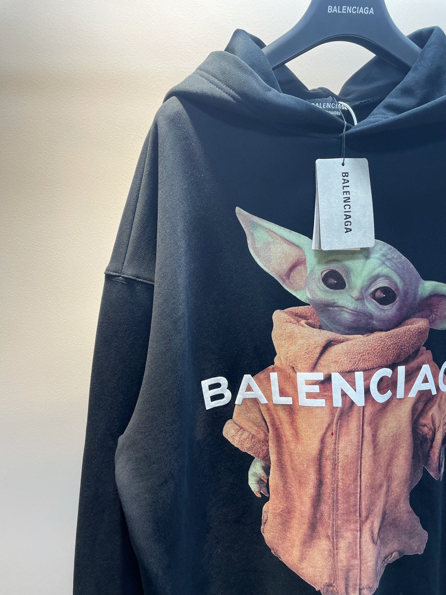 Ba1en*iaga Hoodie