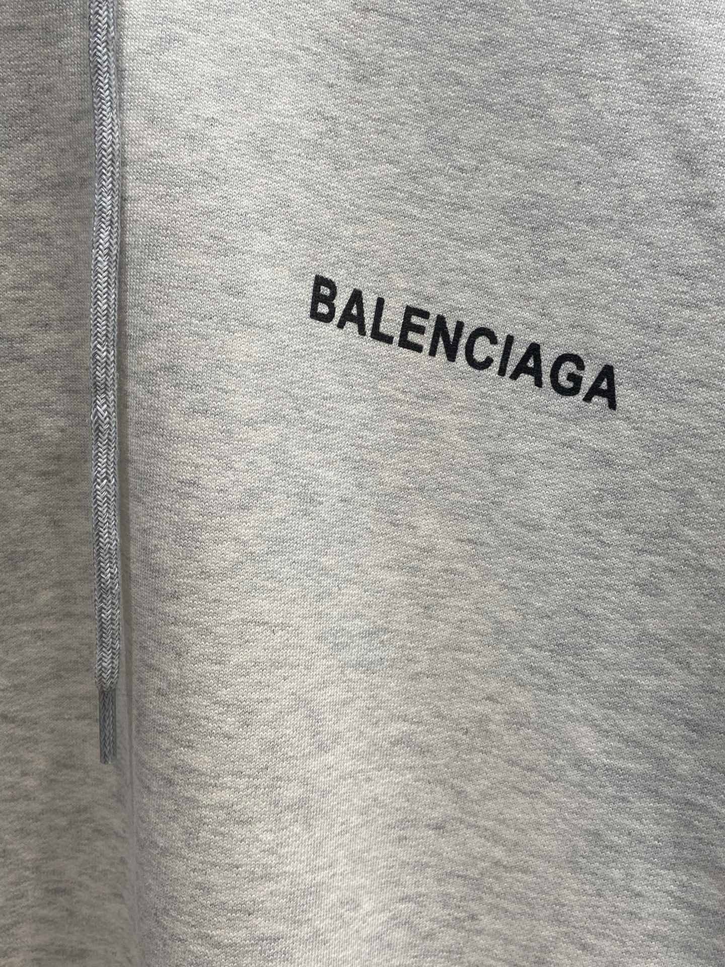 Ba1en*iaga Hoodie