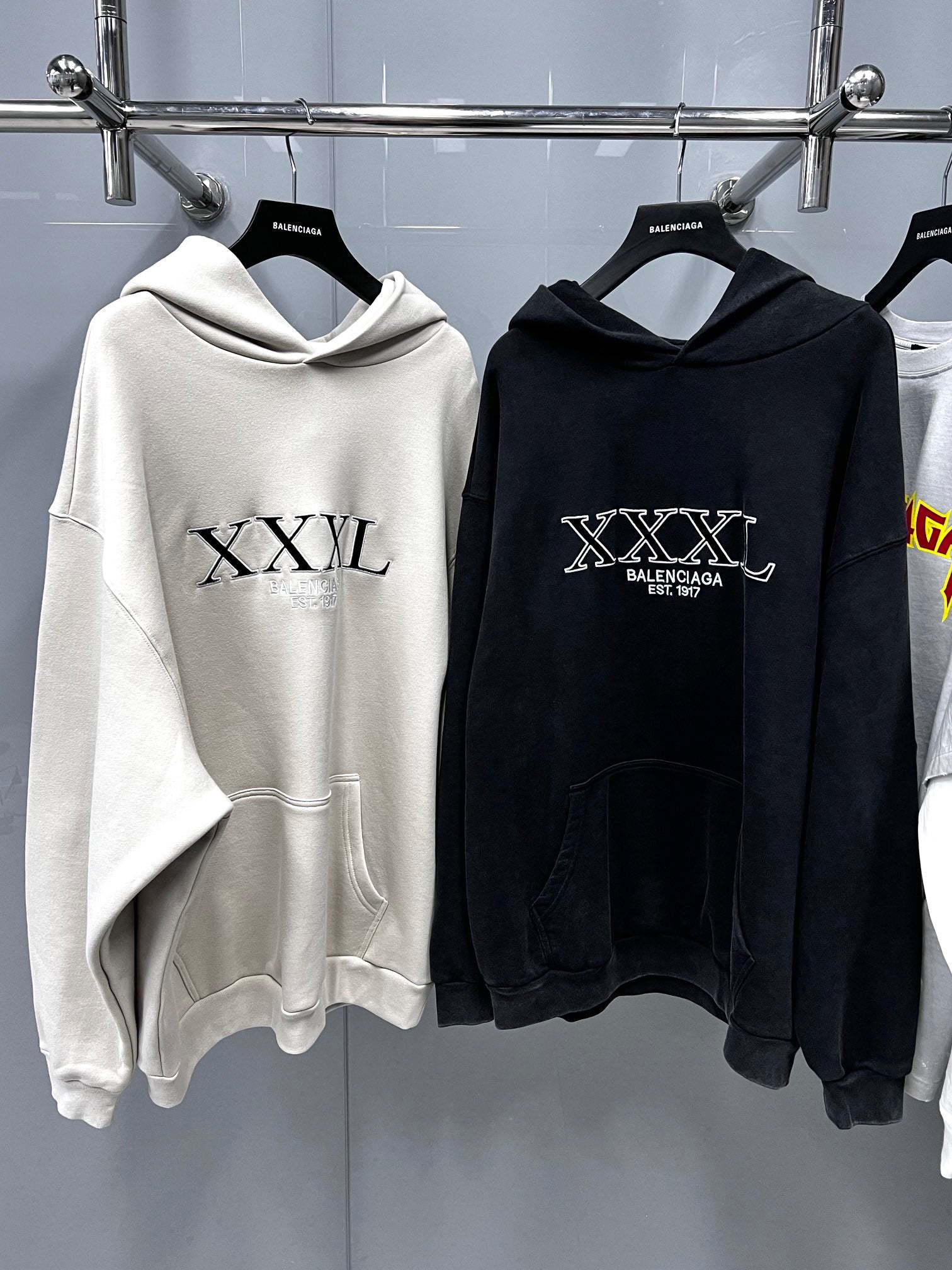 Ba1en*iaga Hoodie