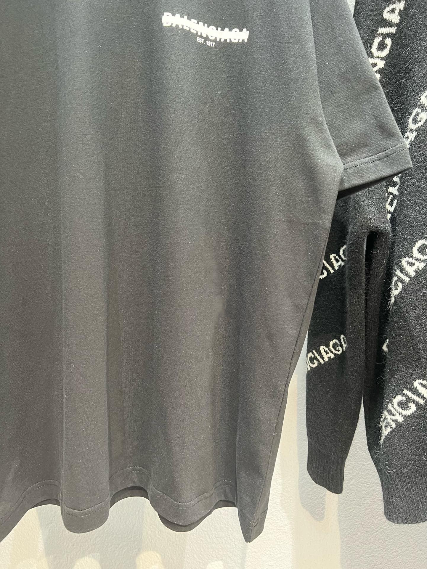Ba1en*iaga T-shirt