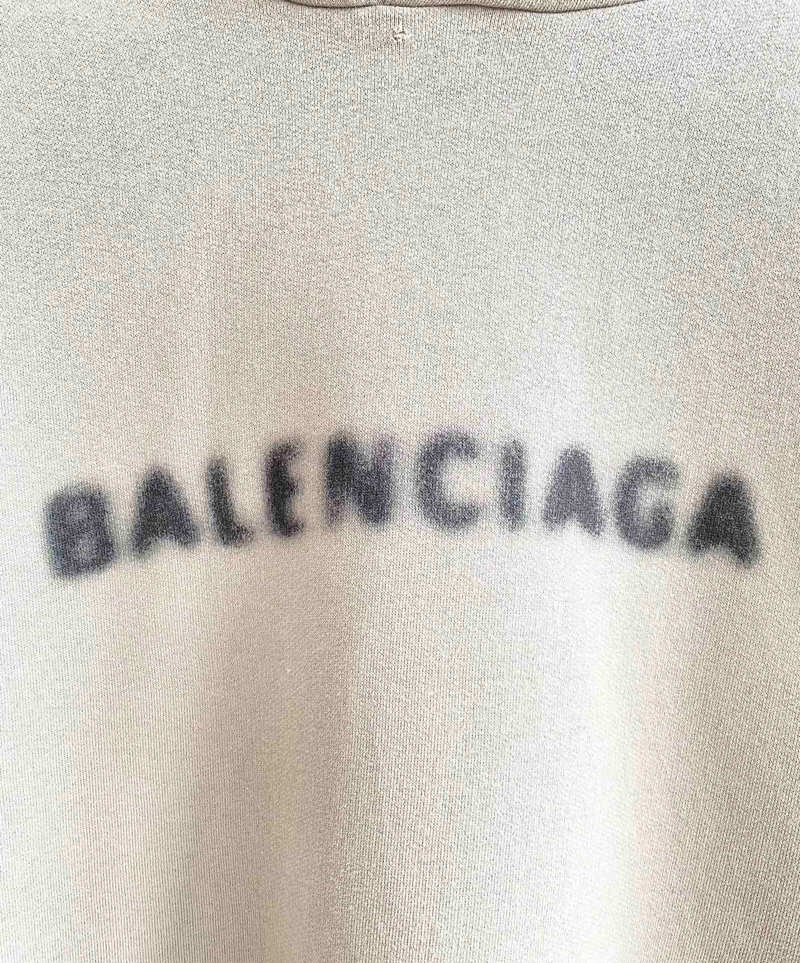 Ba1en*iaga Hoodie