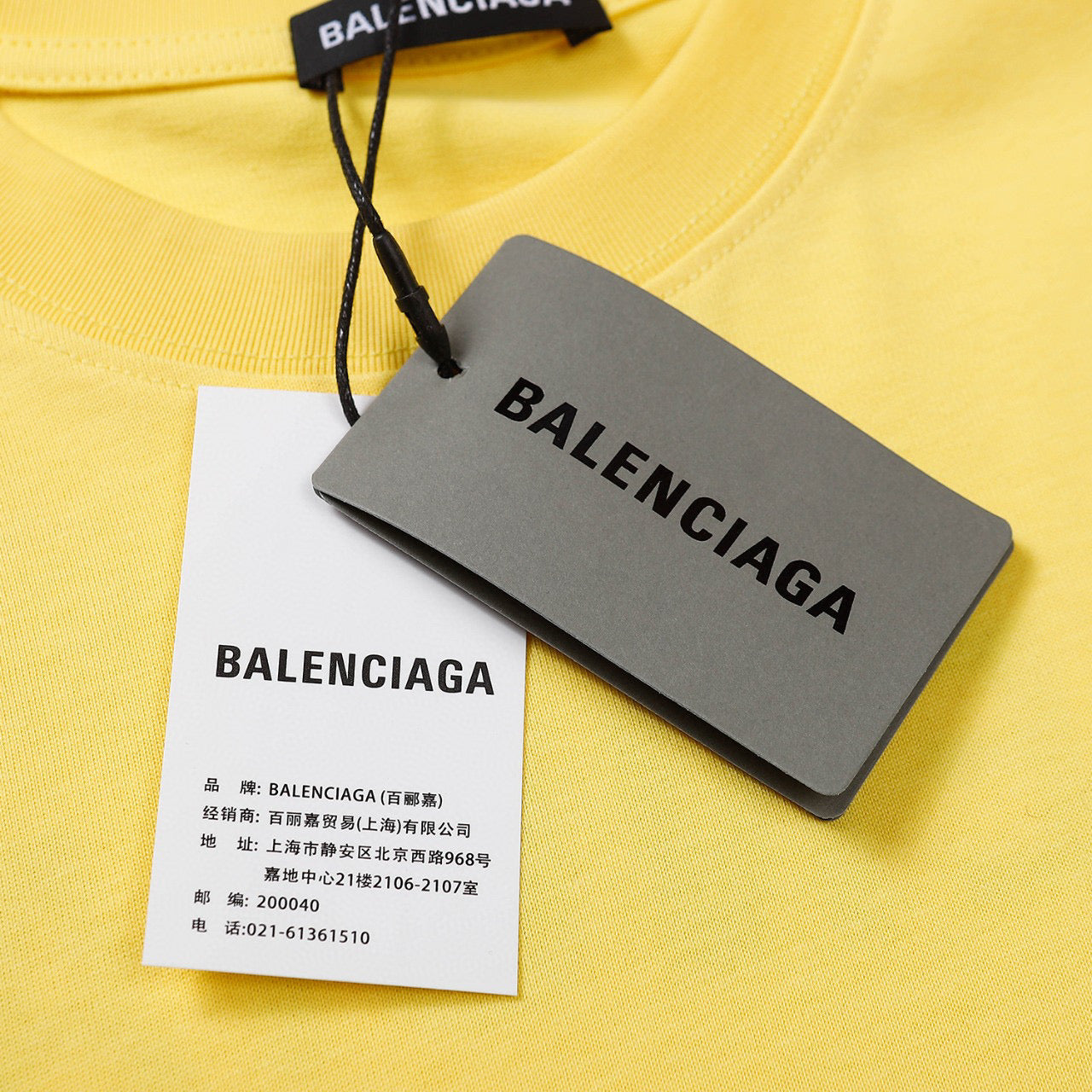 Ba1en*iaga T-shirt