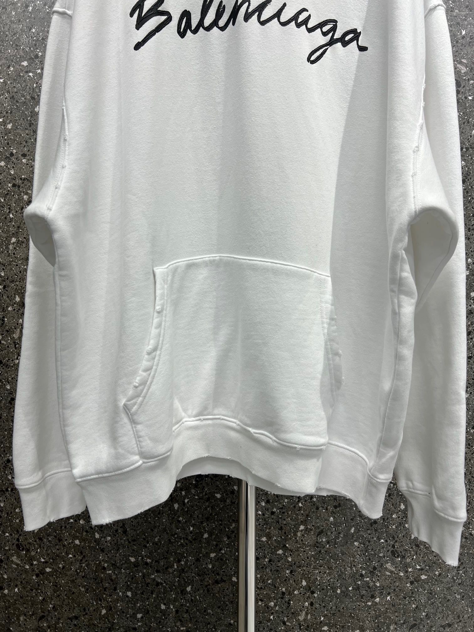 Ba1en*iaga Hoodie