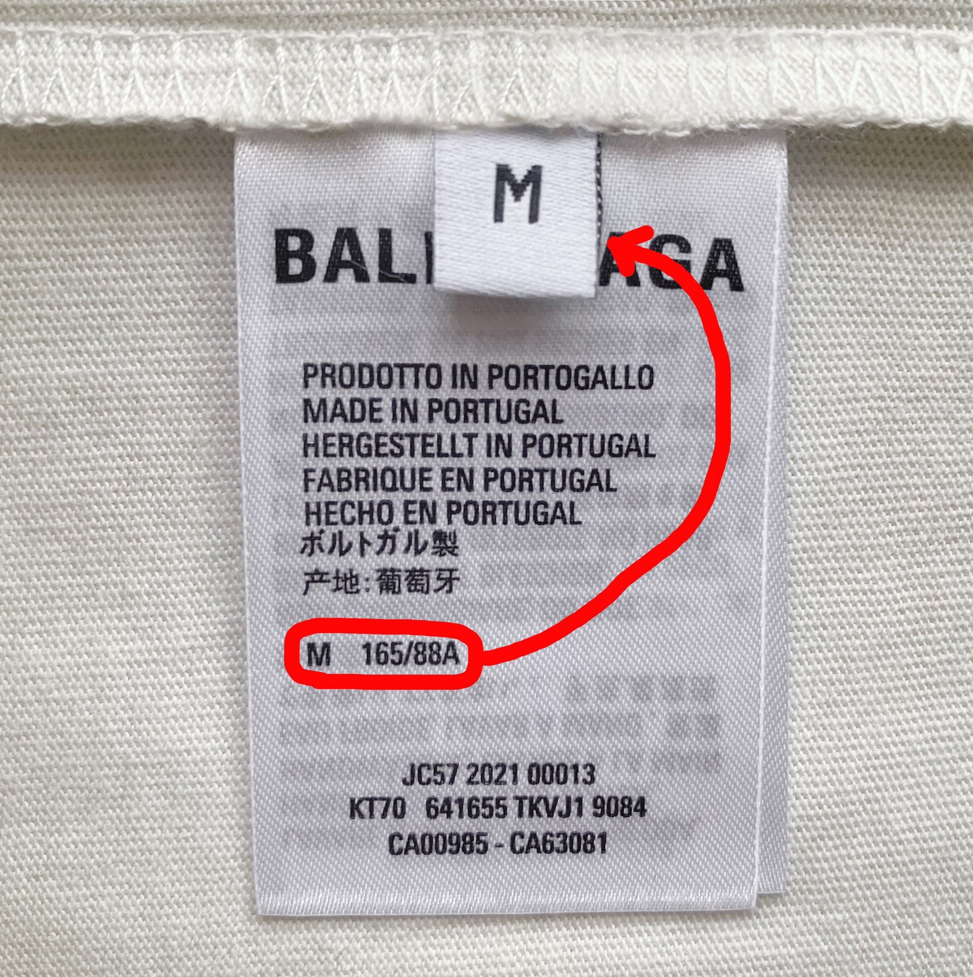 Ba1en*iaga T-shirt