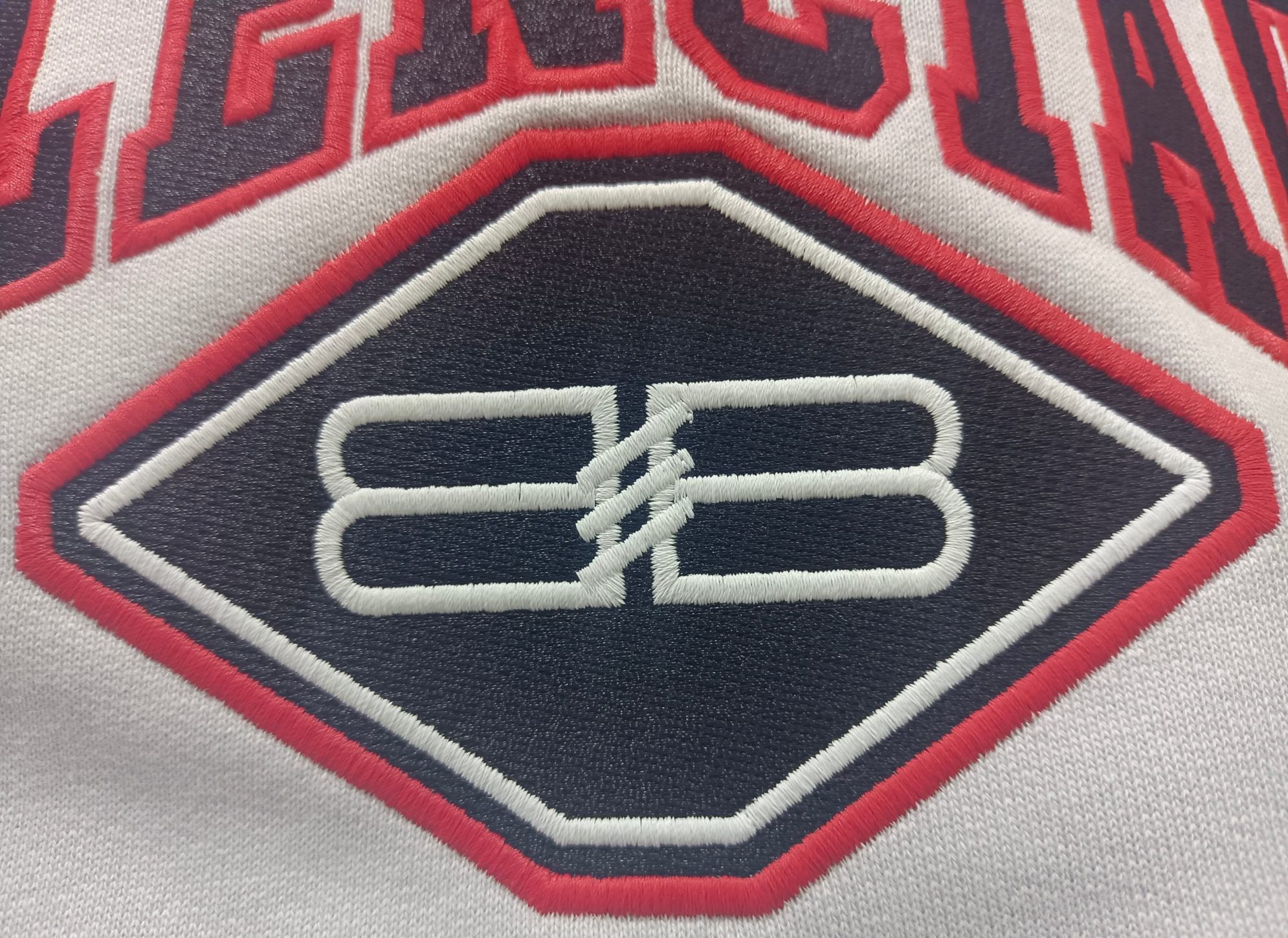 Ba1en*iaga Hoodie