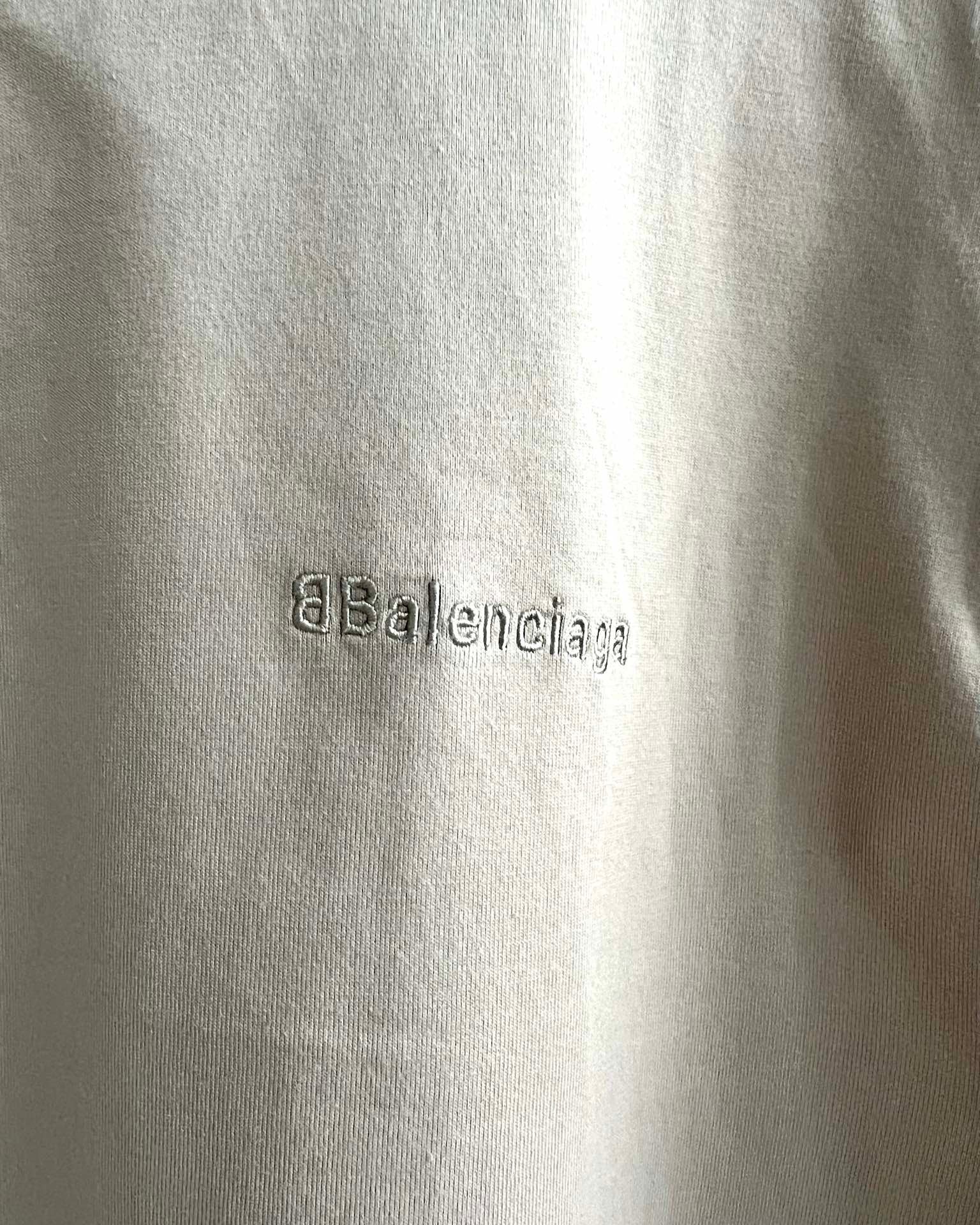 Ba1en*iaga T-shirt