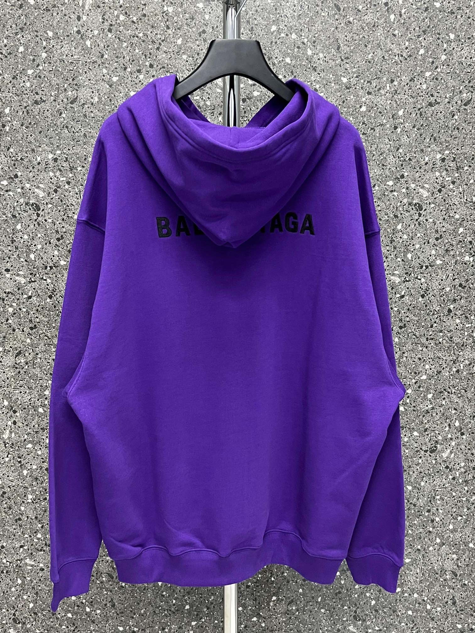 Ba1en*iaga Hoodie