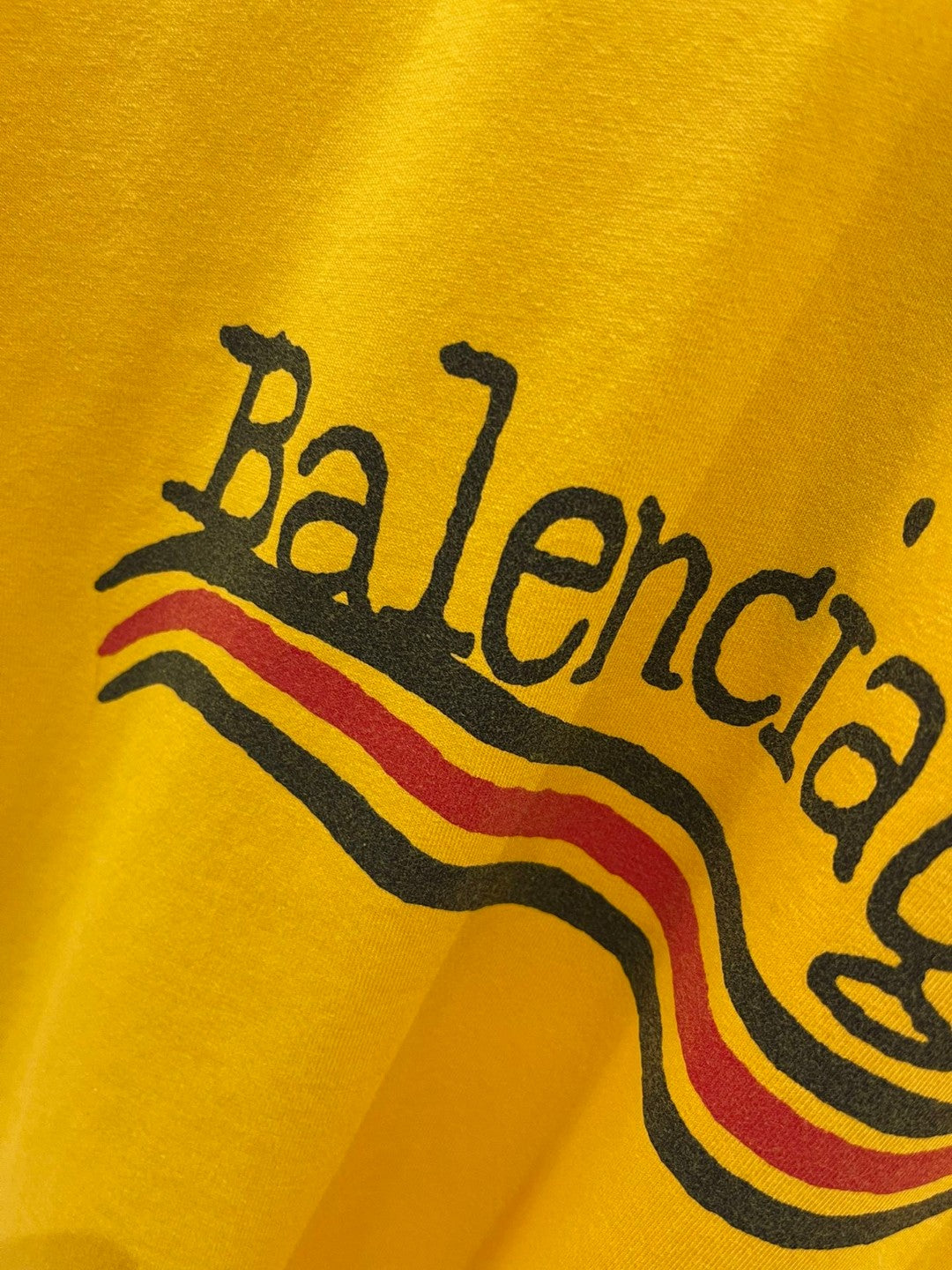 Ba1en*iaga T-shirt
