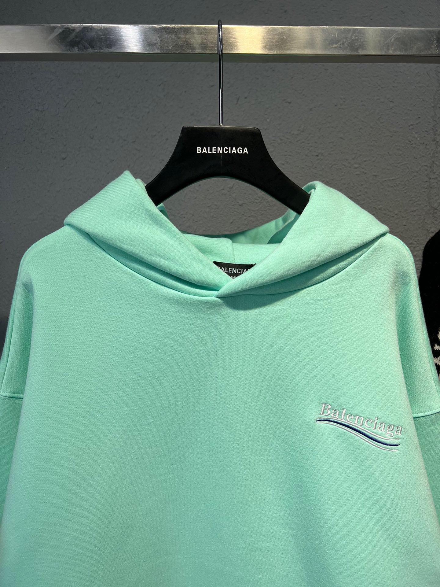 Ba1en*iaga Hoodie