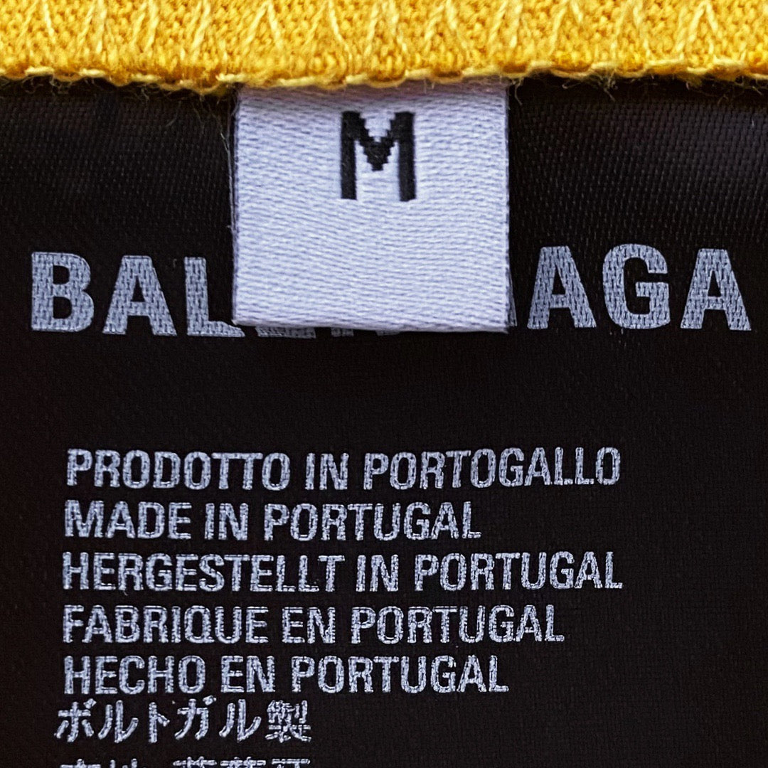 Ba1en*iaga T-shirt