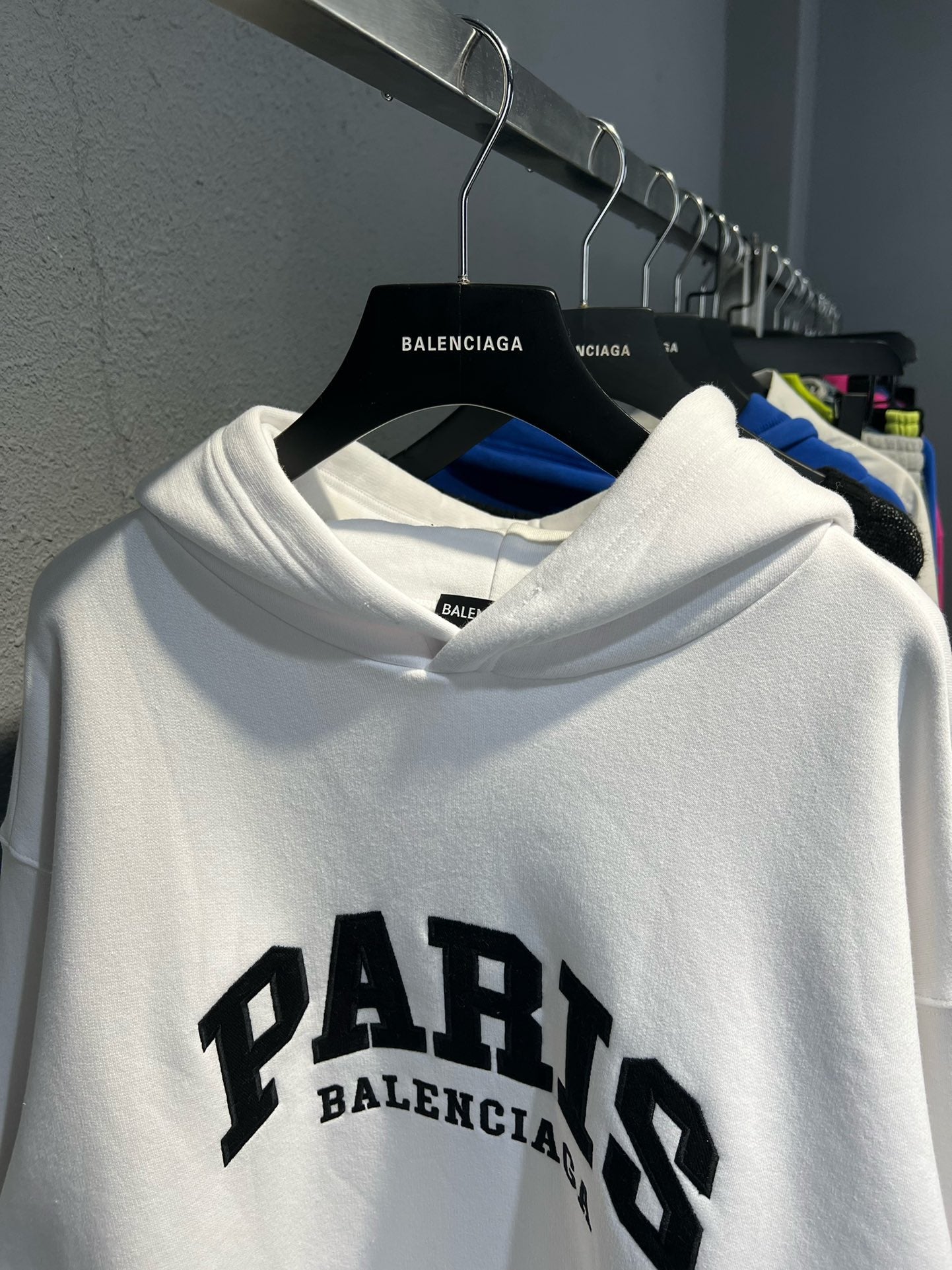 Ba1en*iaga Hoodie