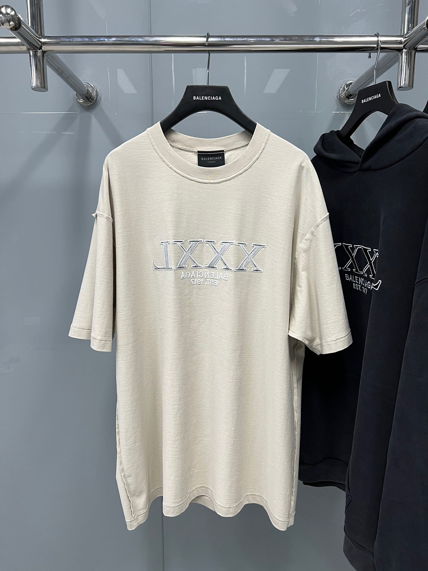 Ba1en*iaga T-shirt