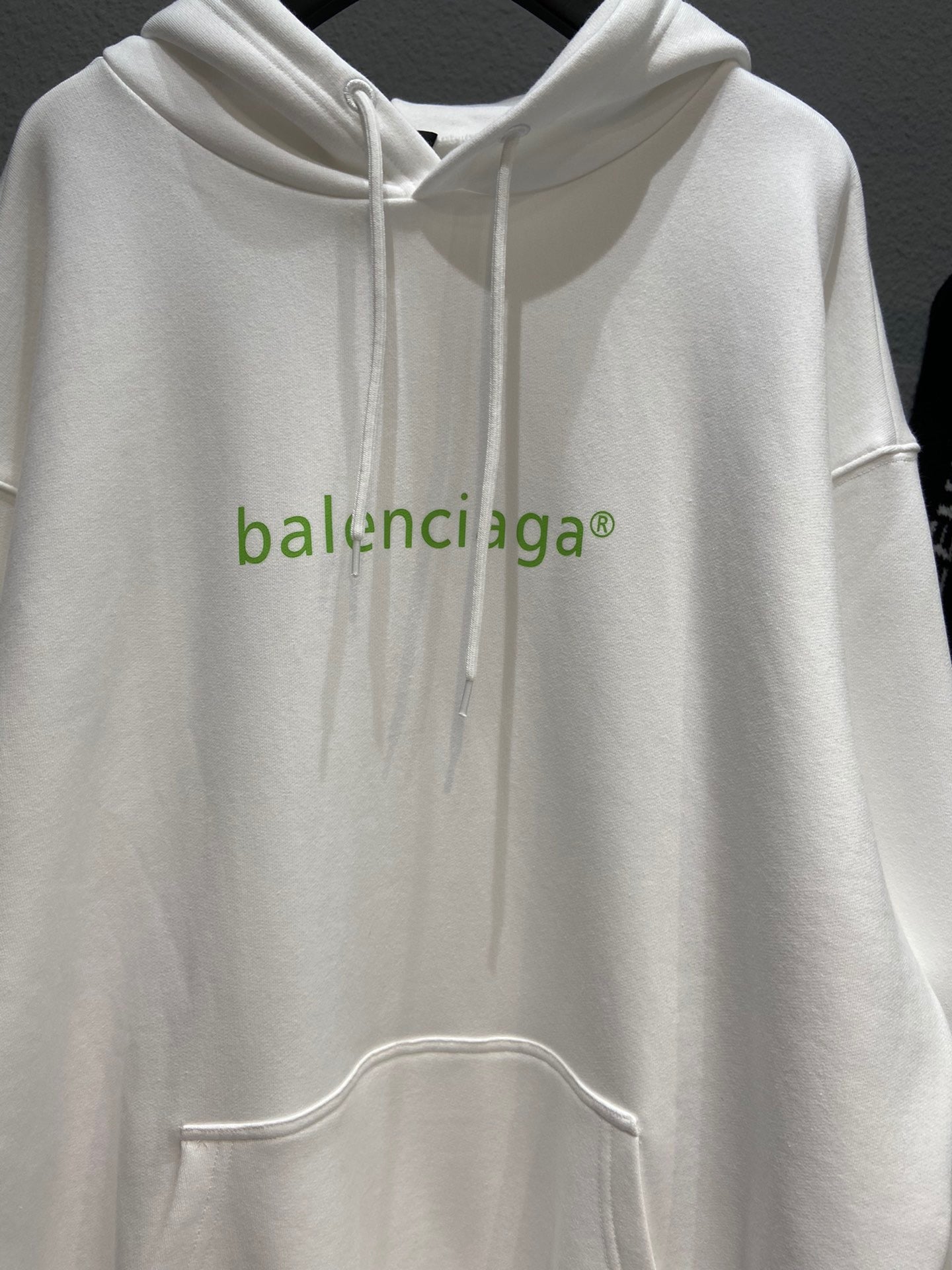 Ba1en*iaga Hoodie