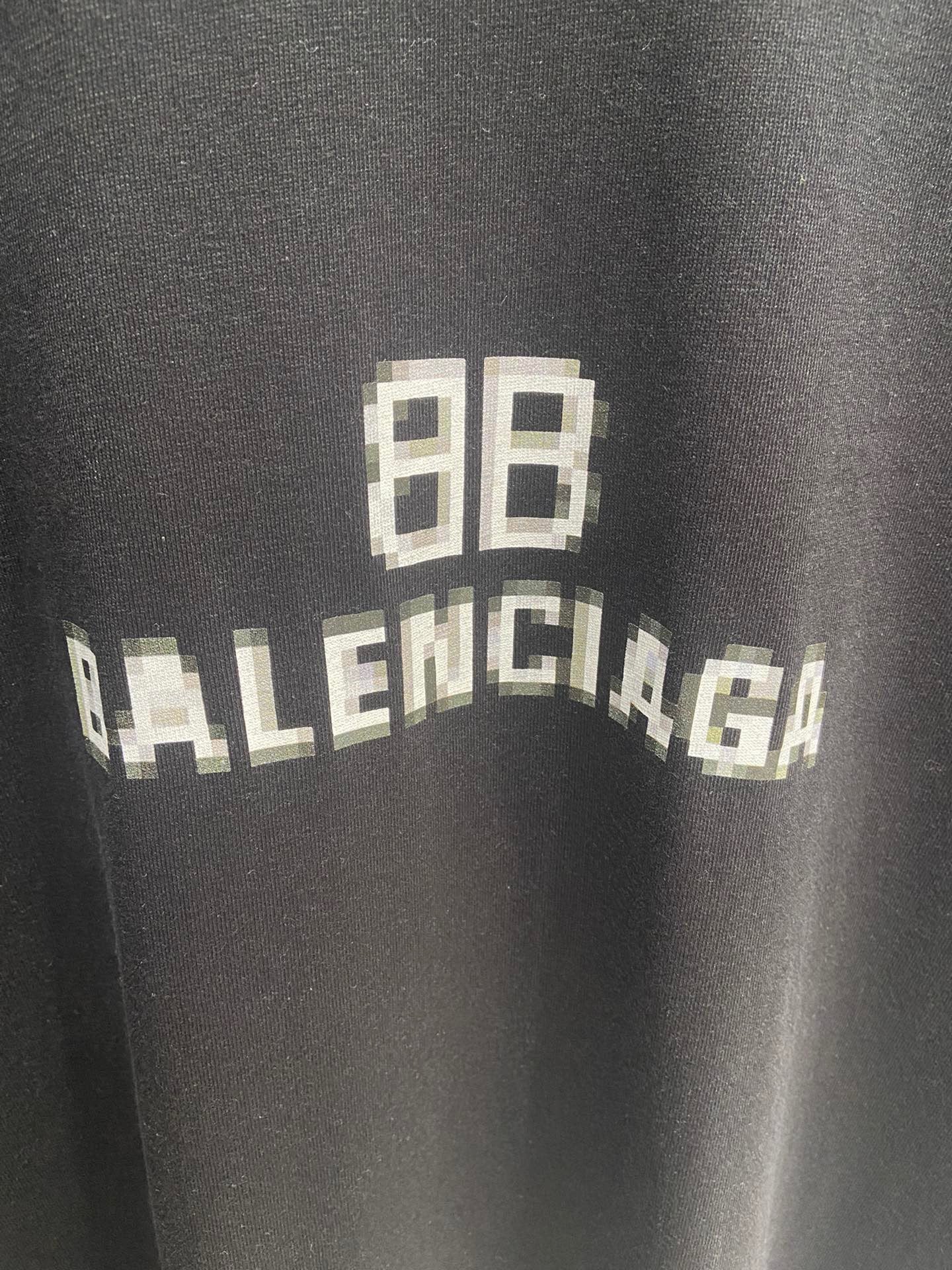 Ba1en*iaga T-shirt