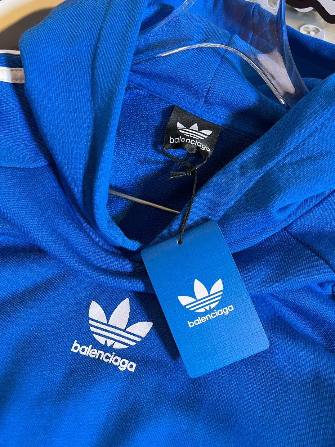 Ba1en*iaga Hoodie