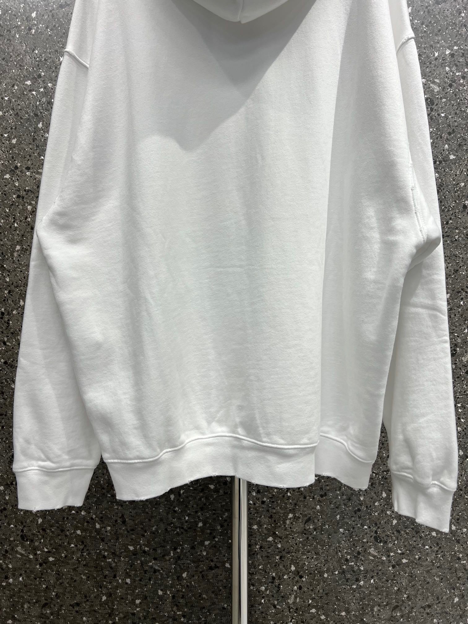 Ba1en*iaga Hoodie