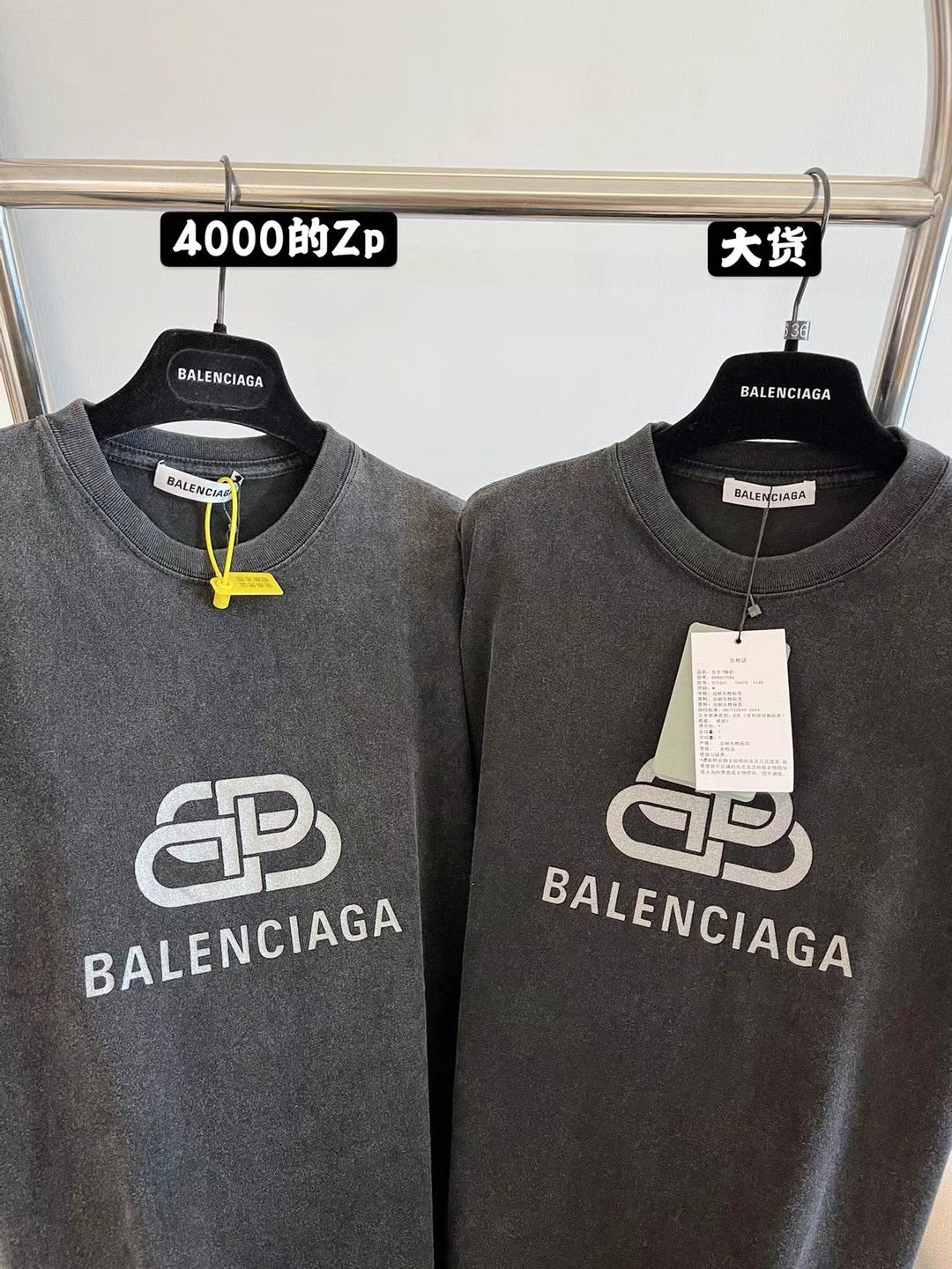 Ba1en*iaga T-shirt